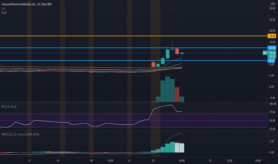 TradingView Track All Markets---IPA