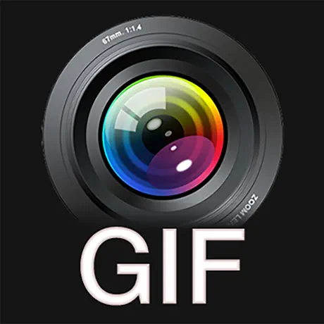 Video to GIF GIF Maker